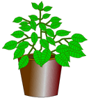 www.sporkworld.org